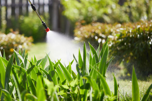 24/7 Emergency Mosquito Control experts in Osawatomie, KS